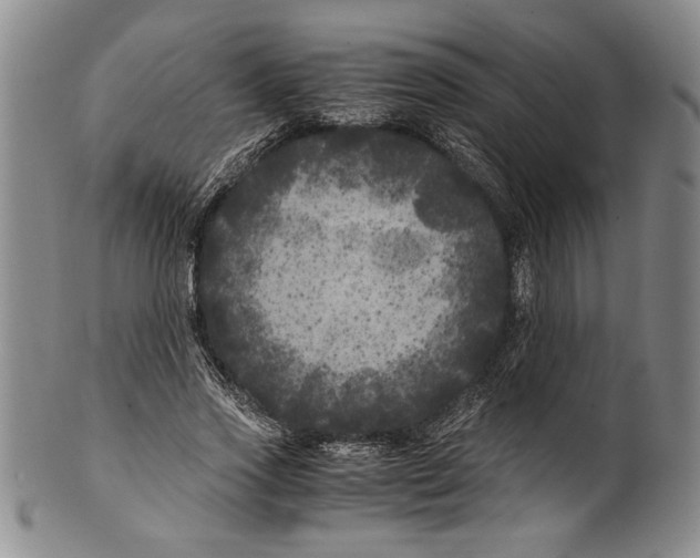 X0000100760733200807171341