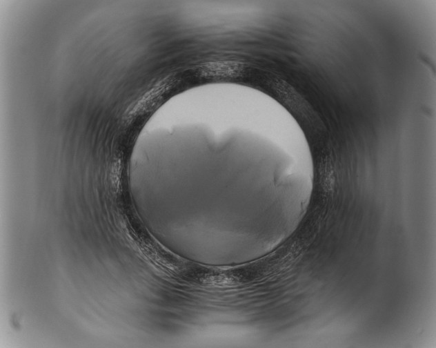 X0000100760735200807171341