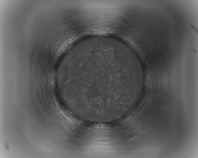 X0000100760736200807171341