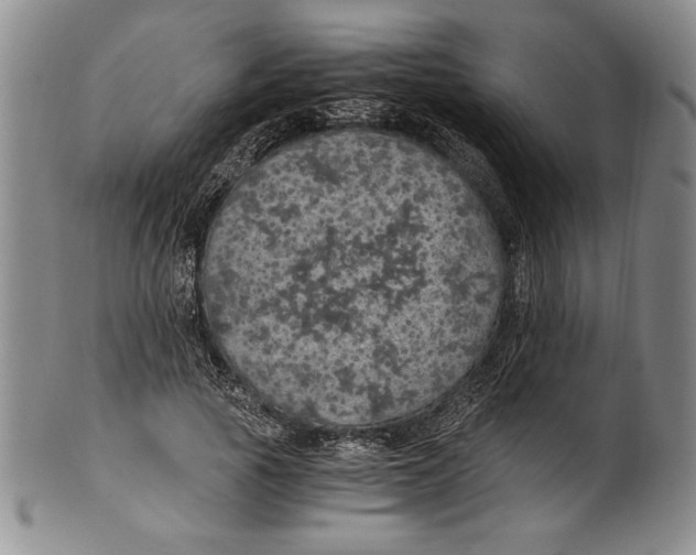 X0000100760737200807171341