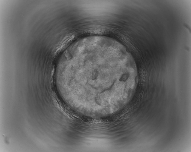X0000100760738200807171341