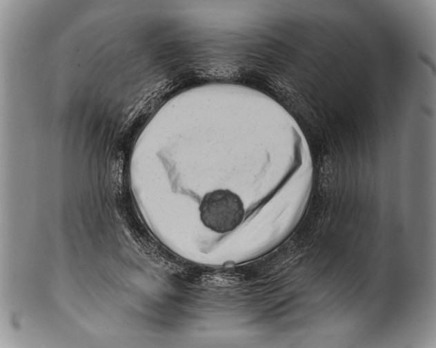 X0000100760739200807171341