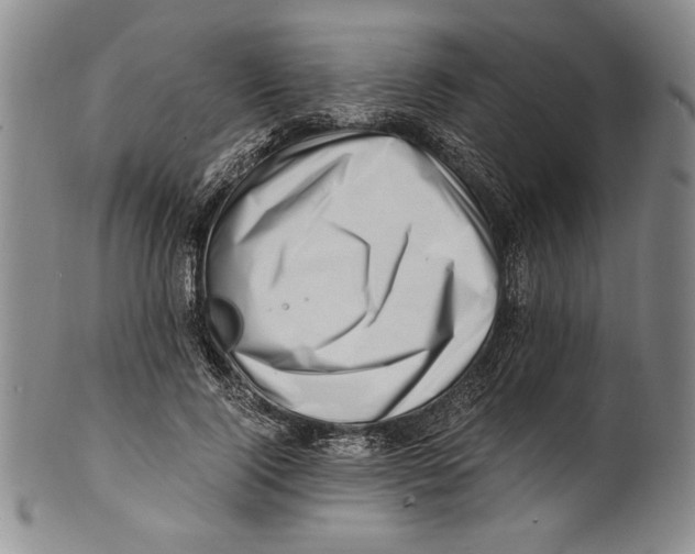 X0000100760740200807171341
