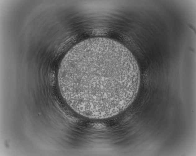 X0000100760741200807171341