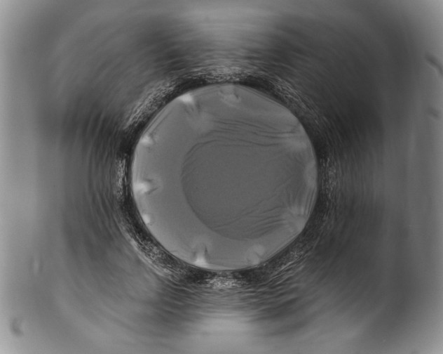 X0000100760742200807171341