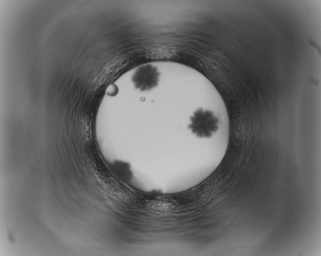 X0000100760743200807171341