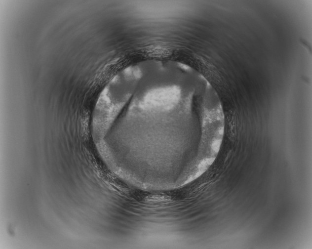 X0000100760745200807171341