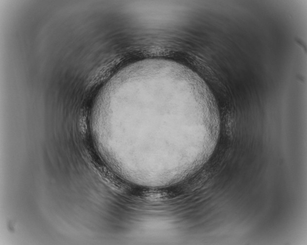 X0000100760746200807171341