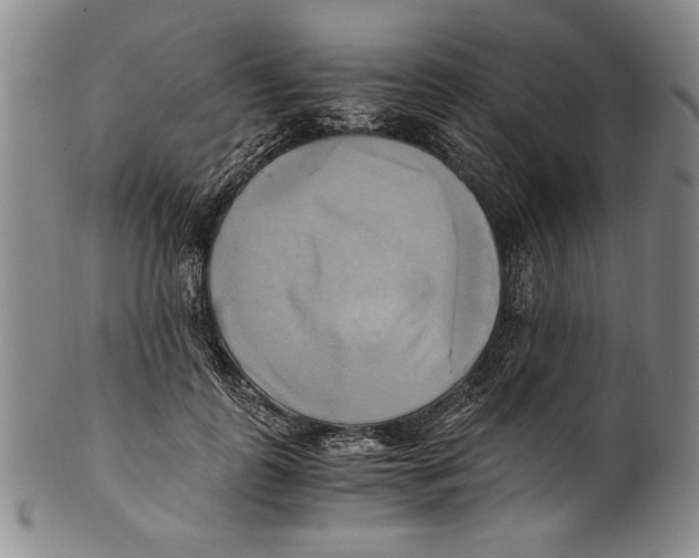X0000100760747200807171341