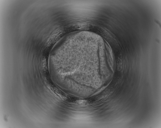X0000100760748200807171341