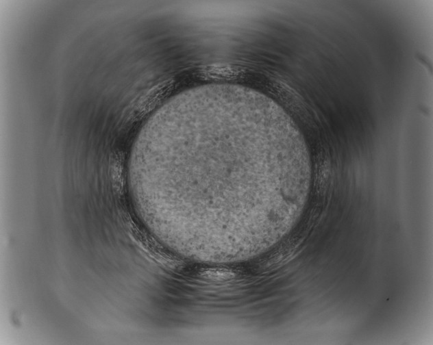 X0000100760749200807171341