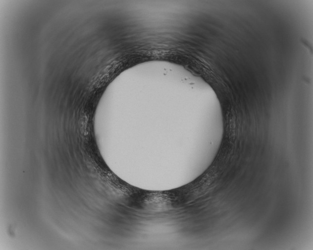 X0000100760750200807171341