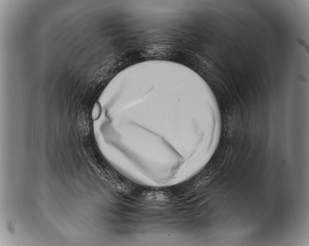 X0000100760751200807171341
