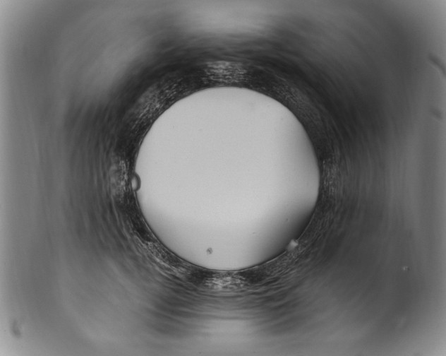 X0000100760752200807171341