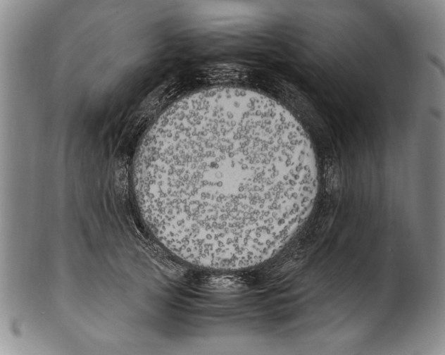X0000100760753200807171341