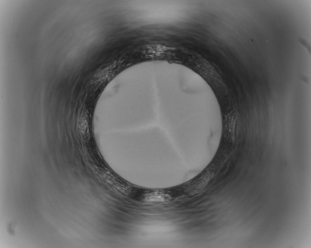 X0000100760754200807171341