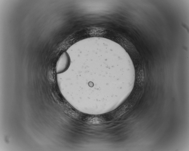 X0000100760755200807171341
