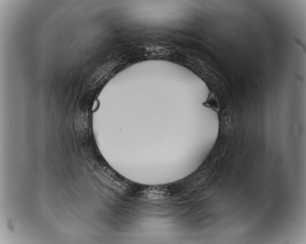 X0000100760756200807171341
