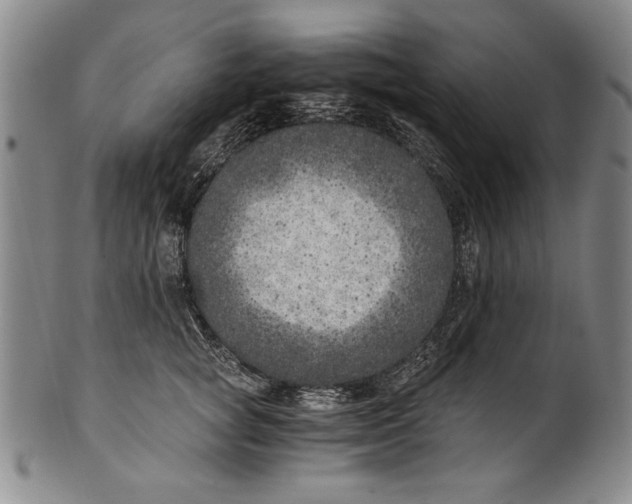 X0000100760757200807171341