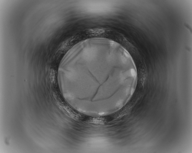 X0000100760758200807171341