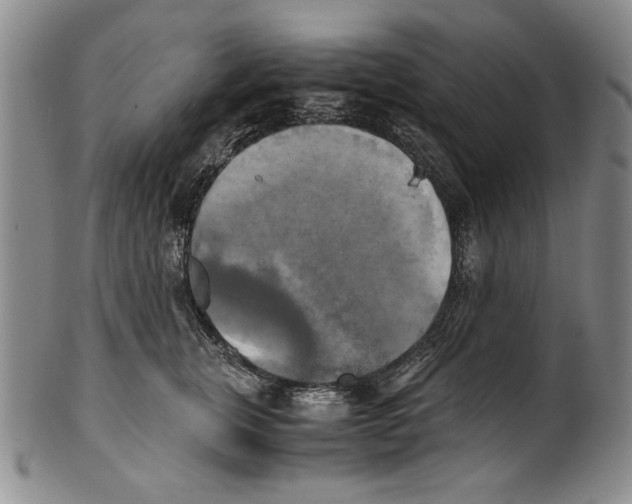 X0000100760759200807171342