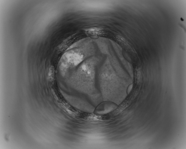 X0000100760760200807171342