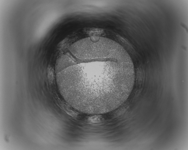 X0000100760761200807171342