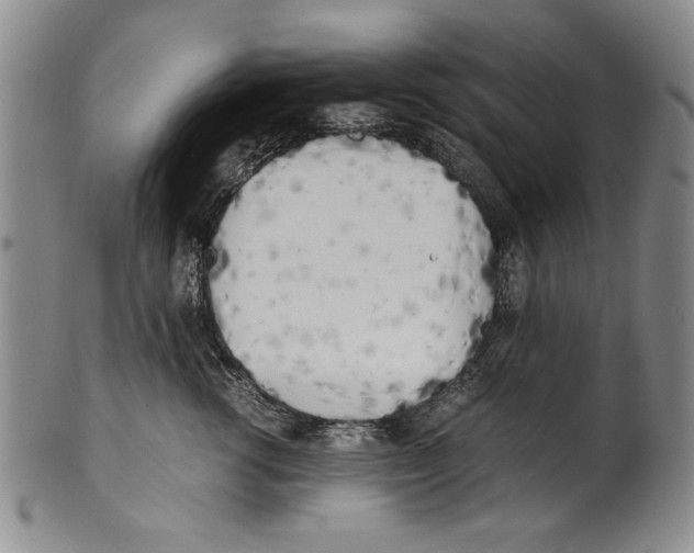 X0000100760762200807171342