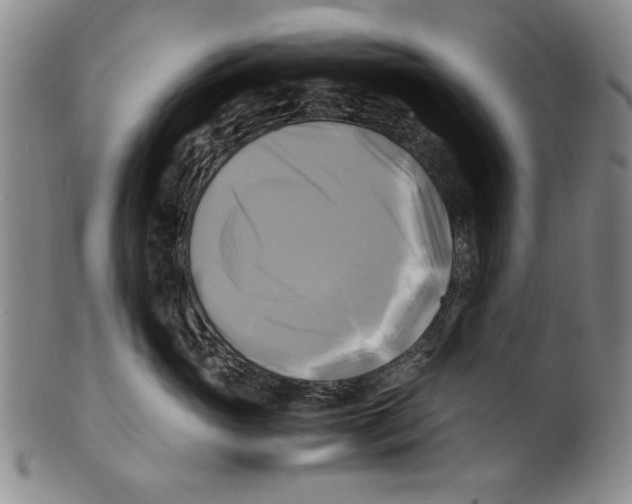X0000100760765200807171342