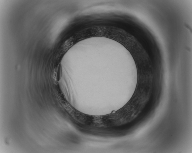 X0000100760766200807171342