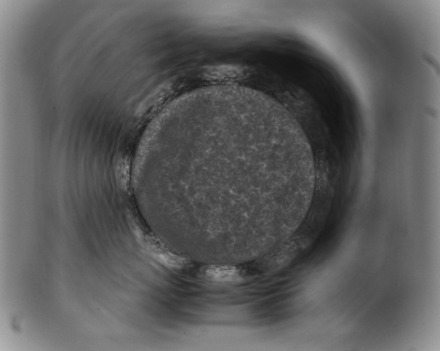 X0000100760767200807171342