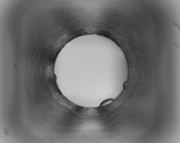 X0000100760768200807171342