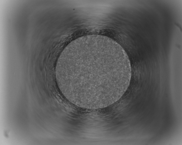 X0000100760769200807171341