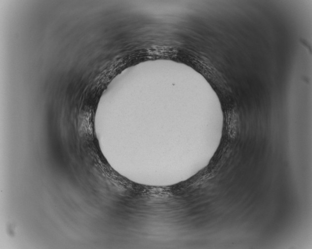 X0000100760770200807171341
