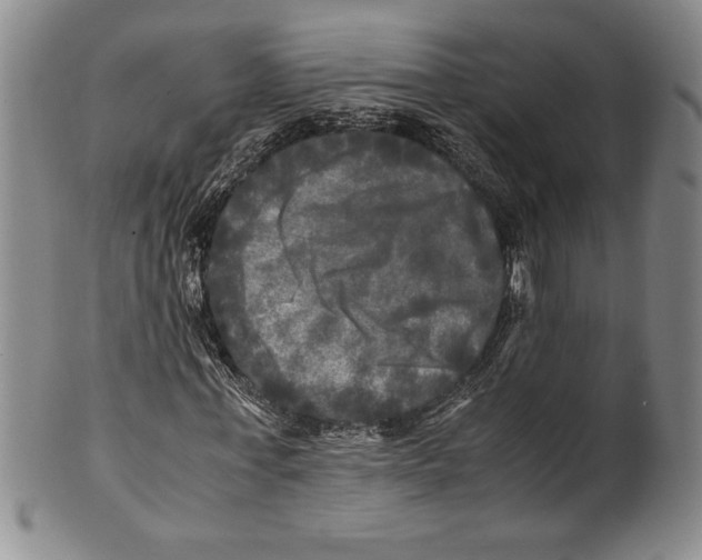 X0000100760771200807171341