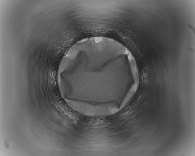 X0000100760772200807171341