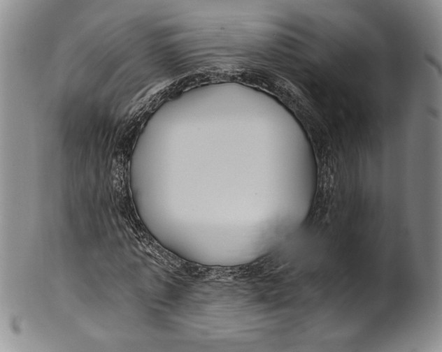 X0000100760773200807171341