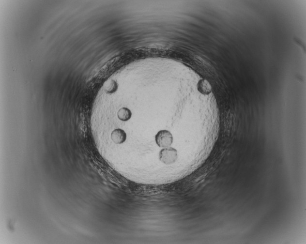 X0000100760774200807171341