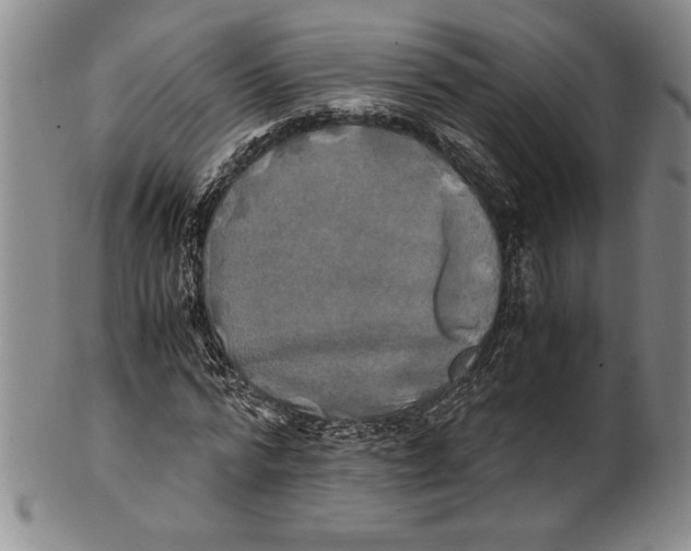X0000100760776200807171341
