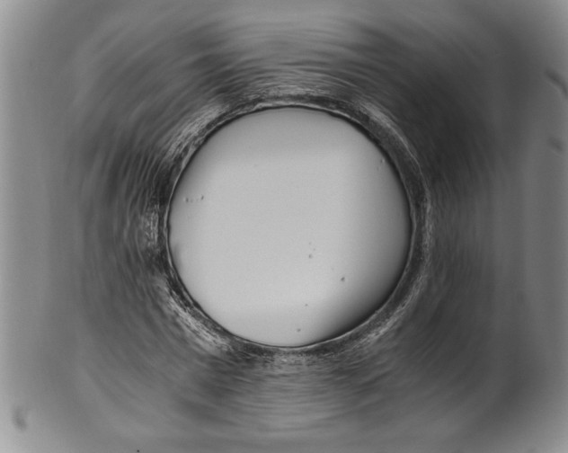 X0000100760777200807171341