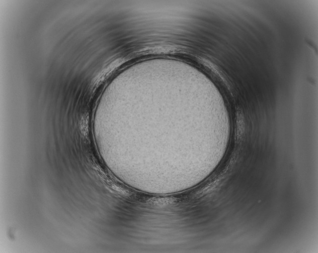 X0000100760778200807171341
