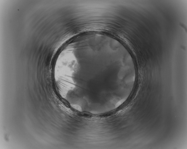 X0000100760779200807171341