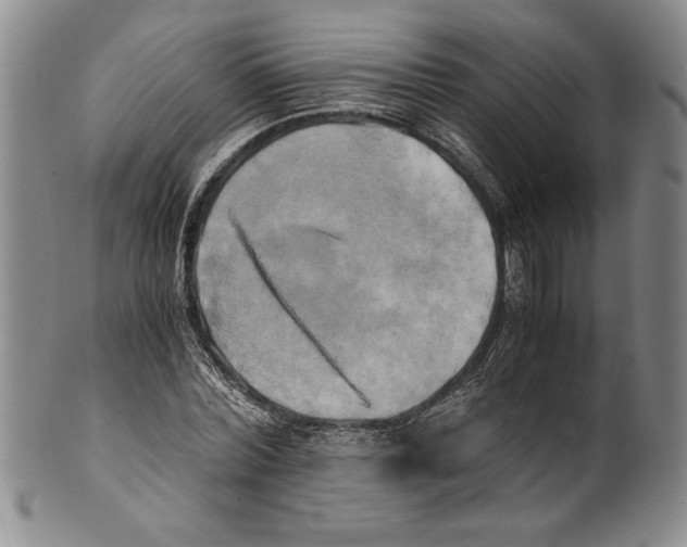 X0000100760780200807171341