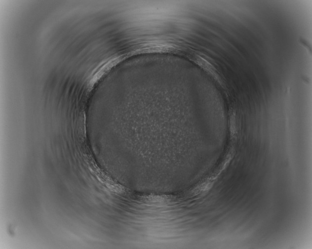 X0000100760781200807171341