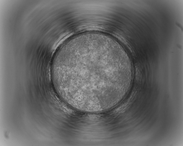 X0000100760782200807171341
