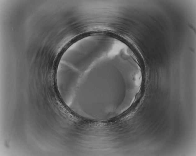 X0000100760783200807171341