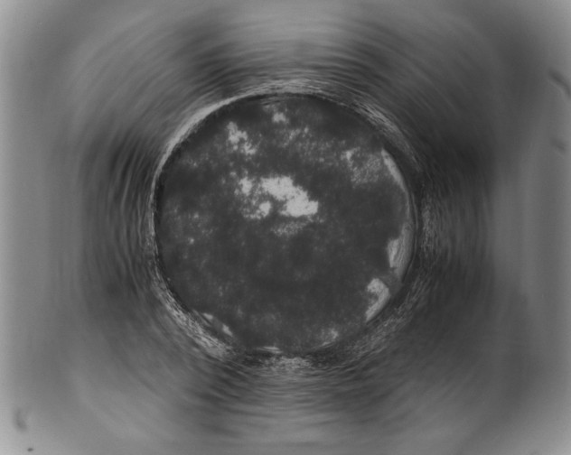X0000100760784200807171341