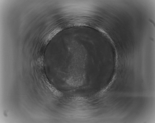 X0000100760785200807171341
