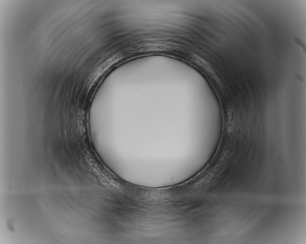 X0000100760786200807171341