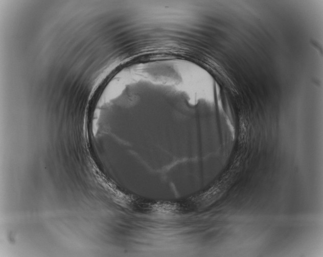 X0000100760788200807171341